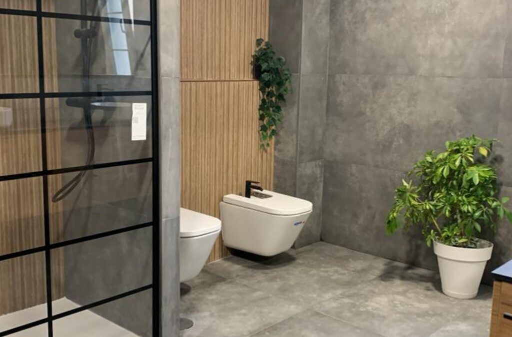 ¿Te estás planteando suprimir el bidé en la reforma de tu baño?