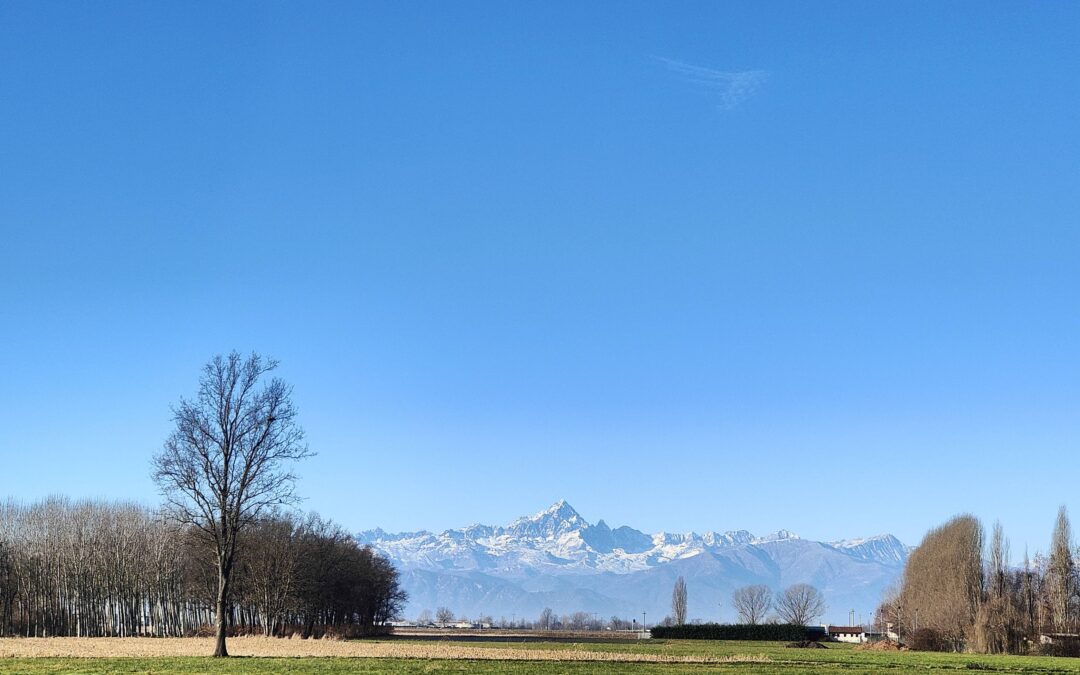 ¿Por qué STUDIO MONVISO?